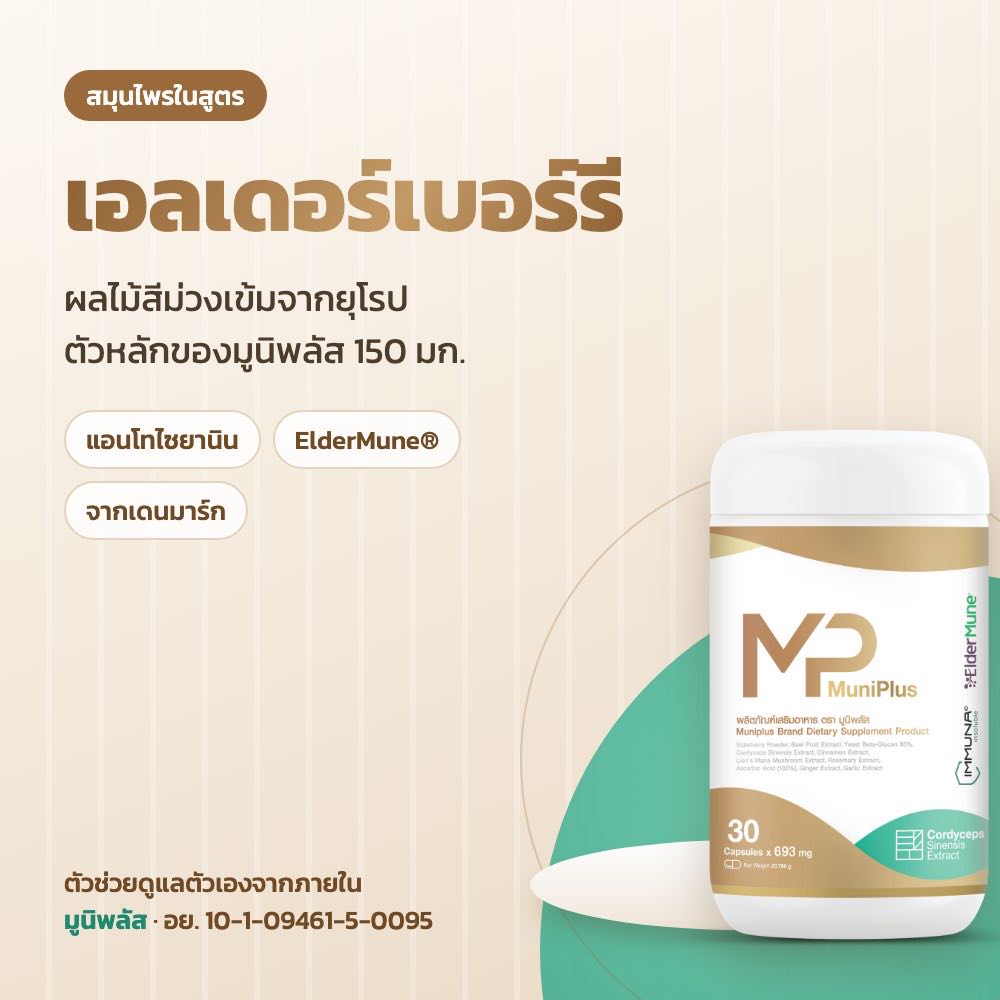 เอลเดอร์เบอร์รี คืออะไร ทำไมเป็นตัวหลักในมูนิพลัส